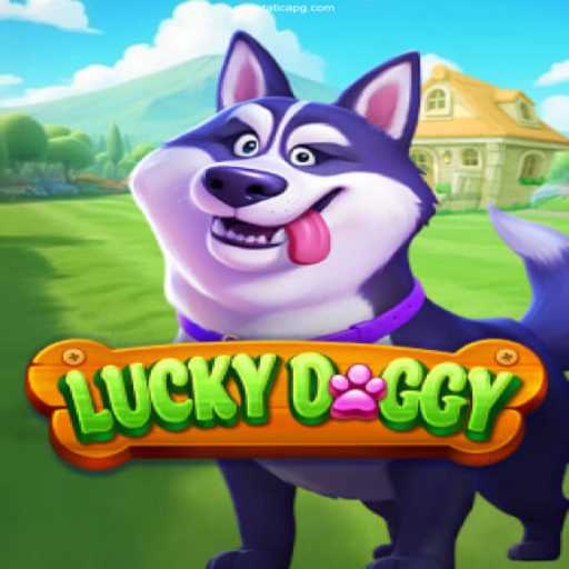 Discovering the Excitement of LuckyDoggy and TaticaPG.com Casino